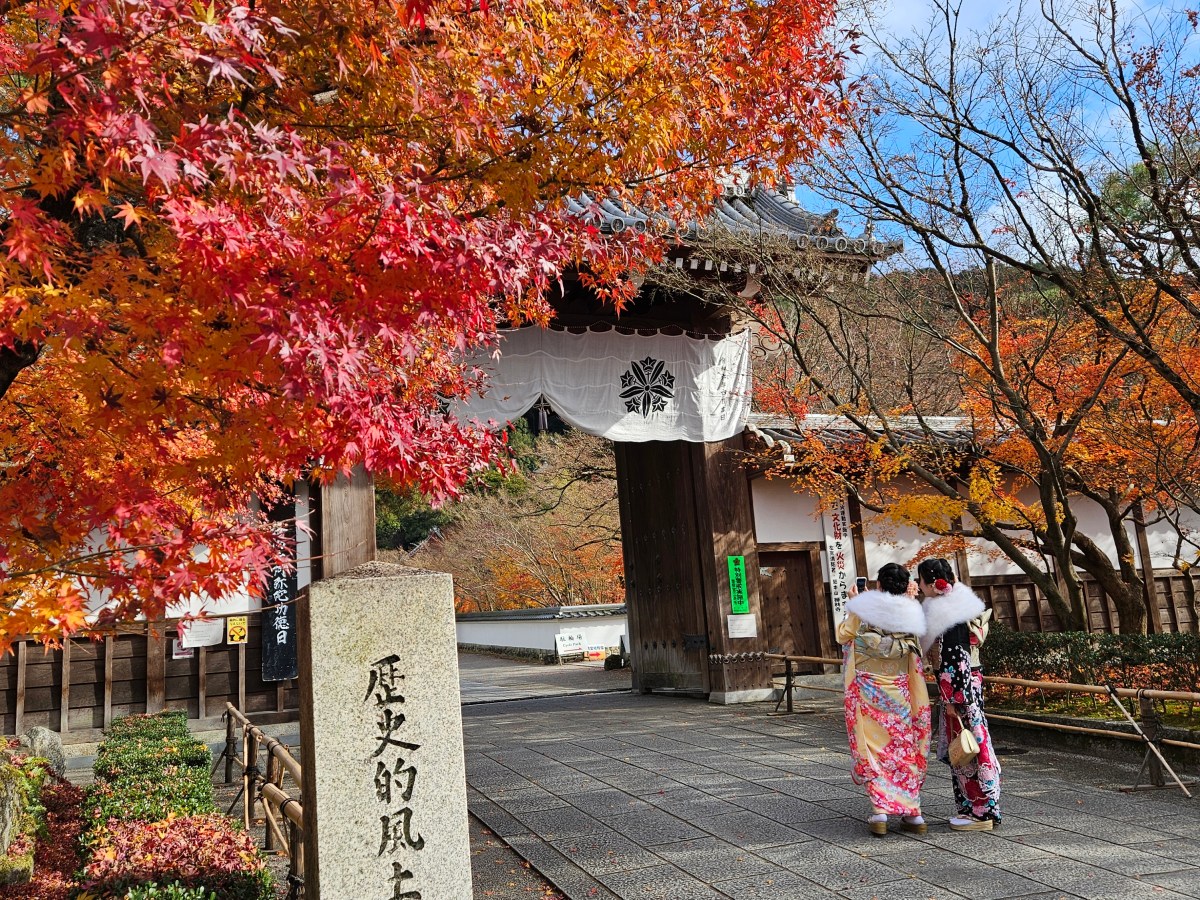 Nara: Wo Rehe heilig sind und spirituelles Zentrum 